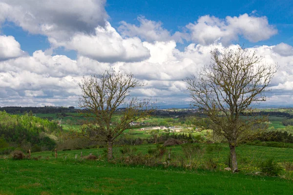 Rural Landscape Green Fields Sunny Day Country Landscape Lozre France — Stock Photo, Image