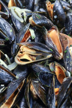 Mariniere 'de pişirilmiş midyeler.