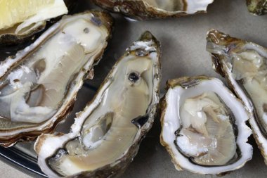 Masadaki istiridye tabağı.