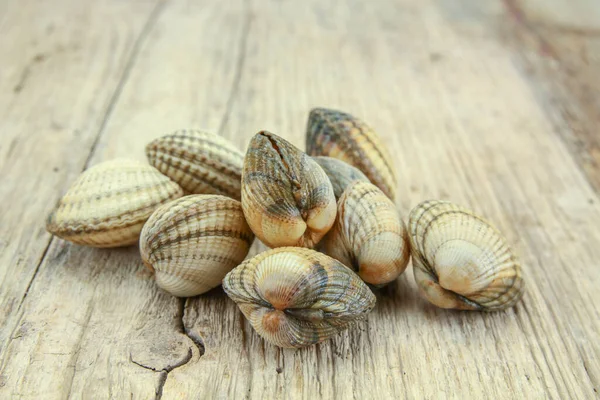 Cockles Grezzi Sfondo Legno — Foto Stock