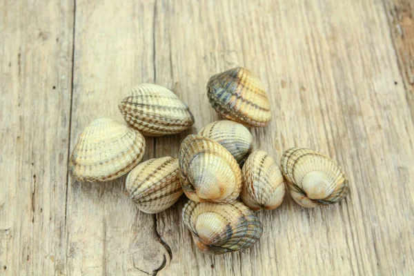 Kerang Mentah Pada Latar Belakang Kayu — Stok Foto