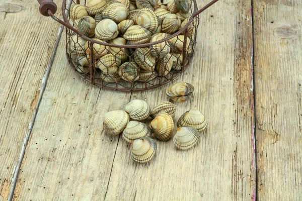 Kerang Mentah Dalam Keranjang Pada Latar Belakang Kayu — Stok Foto