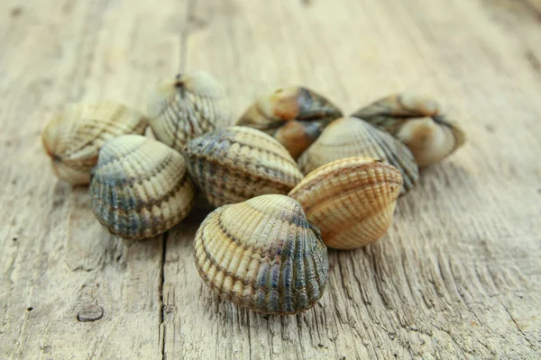 Kerang Mentah Pada Latar Belakang Kayu — Stok Foto