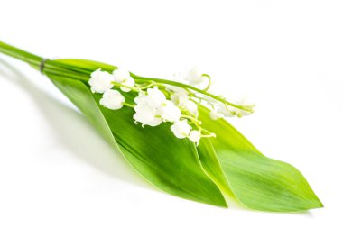 Vadideki zambak beyaz arka planda izole edilmiş