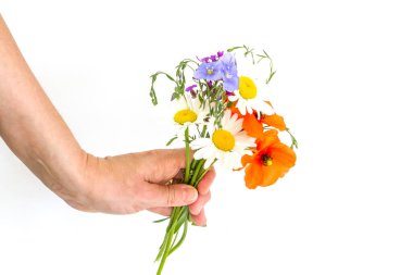 Beyaz arka planda el ele tutuşan kır çiçekleri.