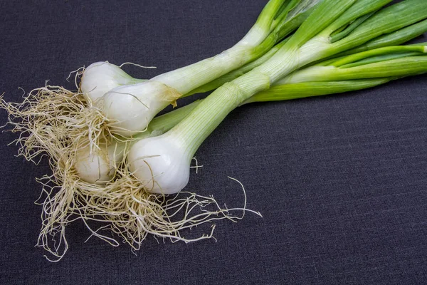 Bawang Hijau Segar Pada Latar Belakang Hitam — Stok Foto