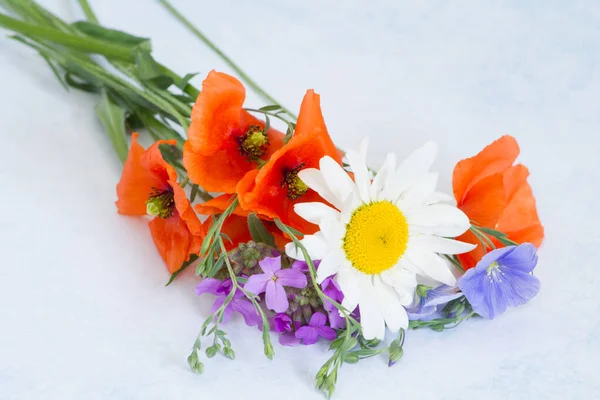 배경에 들판에 꽃다발 — 스톡 사진