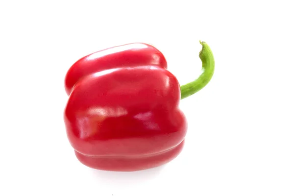 Pimiento Rojo Aislado Sobre Fondo Blanco — Foto de Stock