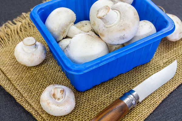 Cogumelos Botão Crus Container Pano Saco — Fotografia de Stock