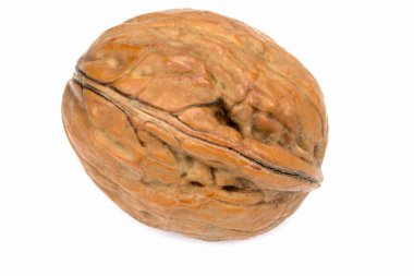 beyaz arkaplanda izole edilmiş ceviz