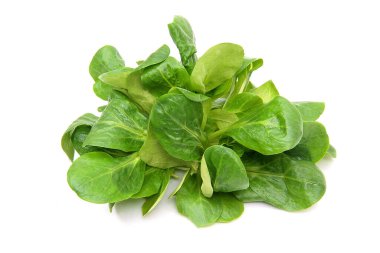 Mache beyaz arkaplanda izole bir şekilde bırakır