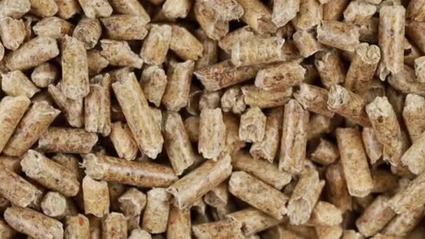 Wooden Pellets Background Close Natural Wood Pellets Ecological Heating Renewable — Stock Video