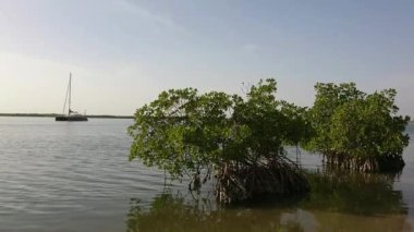 Mar Lodj adası, Senegal 'deki Sin Saloum' un kalbinde.