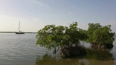 Mar Lodj adası, Senegal 'deki Sin Saloum' un kalbinde.