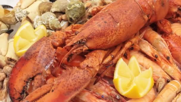 Shrimps Lobsters Plate — Stock Video