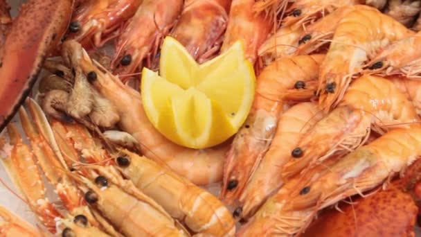 Udang Dengan Lobster Piring — Stok Video