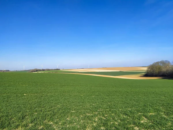 Champ Vert Une Ferme Ciel Bleu Clair — Photo