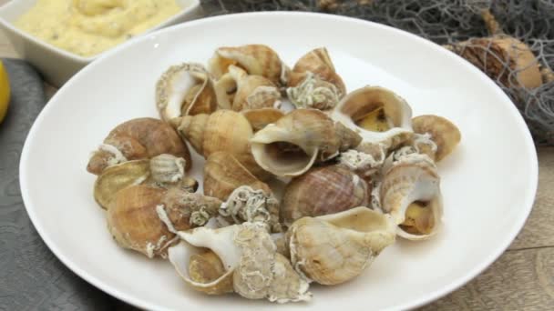 Escargots Sur Une Assiette Délicatesse Française — Video