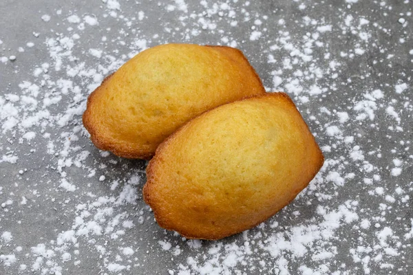 Pastelaria Madeleine Fundo Cinza — Fotografia de Stock