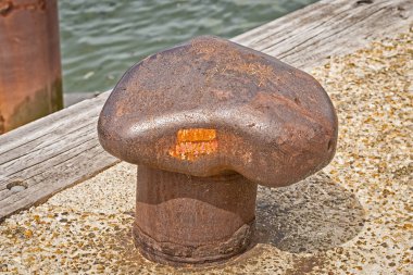 Bir limanda demirleyen horoz