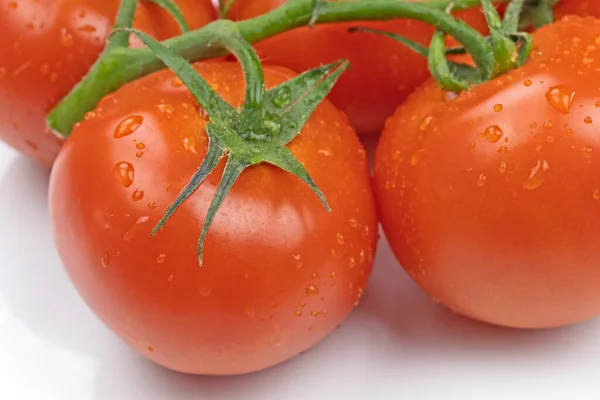 Fresh Tomatoes Isolated White Background — Stock Photo, Image