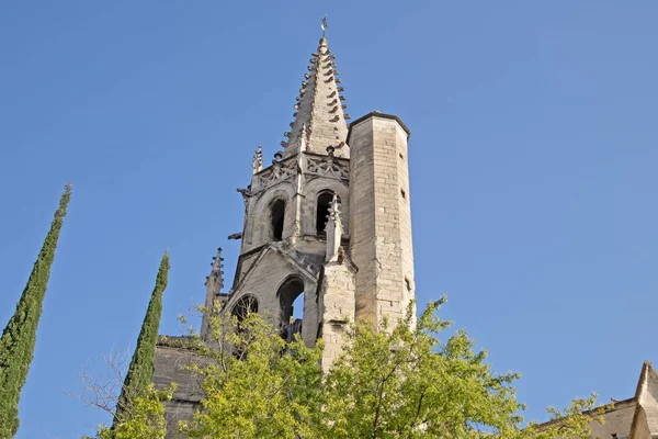 Фасад Базиліки Сен Авіньйон — стокове фото