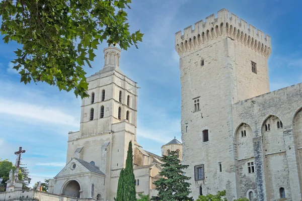 Paleis Van Pausen Avignon — Stockfoto