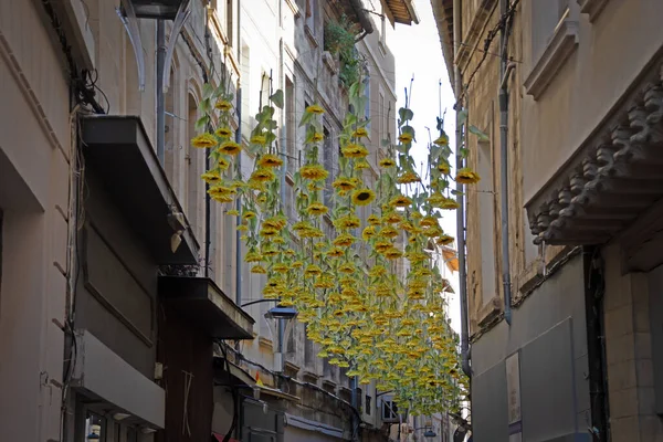 Rue Des Fourbisseurs Avignon Covered Sky Sunflowers — Stock Photo, Image