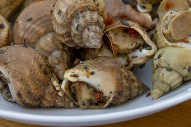 Masada pişmiş yavru köpek tabağı.