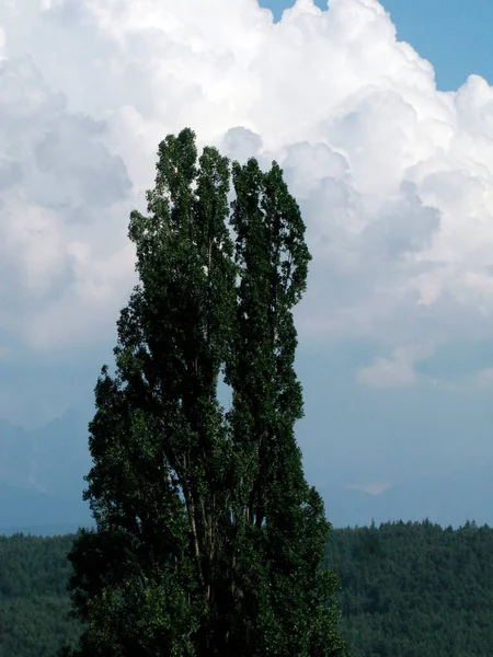 Tworzenie Się Chmur Niebie Zjawisko Pogodowe Meteorologii — Zdjęcie stockowe