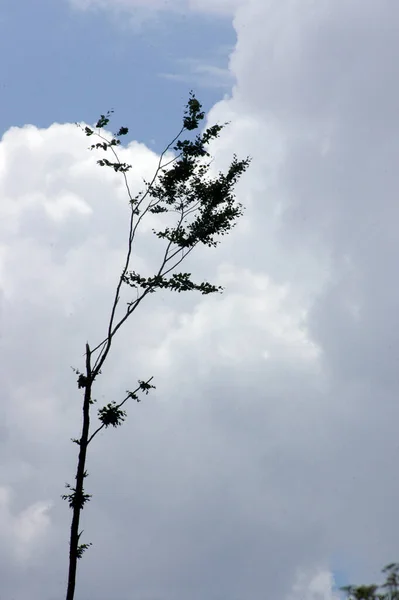 Tworzenie Się Chmur Niebie Zjawisko Pogodowe Meteorologii — Zdjęcie stockowe