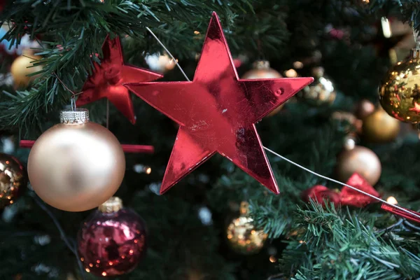 Ein Weihnachtsstern Als Traditionelle Weihnachtsdekoration Der Weihnachtszeit — Stockfoto