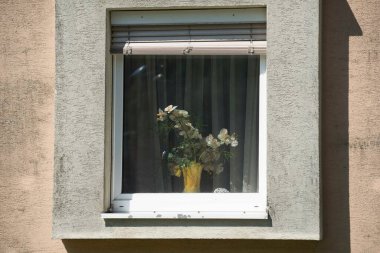 Dışarıyı izlemek ve içeri ışık almak için bir binanın penceresi.