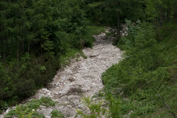 Danos Causados Por Deslizamentos Lama Detritos Lama Após Chuvas Fortes — Fotografia de Stock