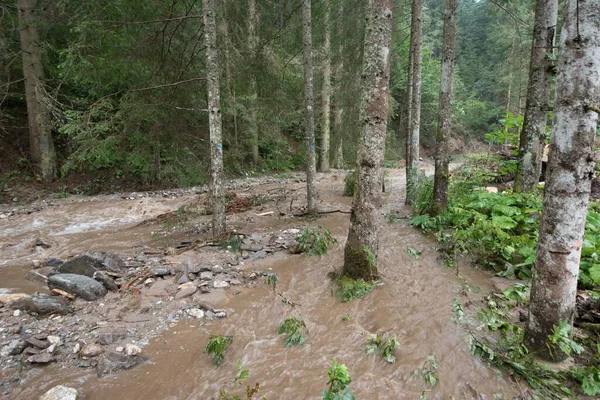 Danos Causados Por Deslizamentos Lama Detritos Lama Após Chuvas Fortes — Fotografia de Stock