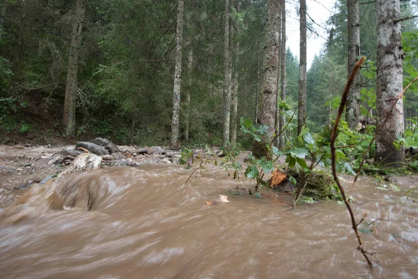 Daños Por Tormentas Causados Por Deslizamientos Tierra Escombros Lodo Después —  Fotos de Stock