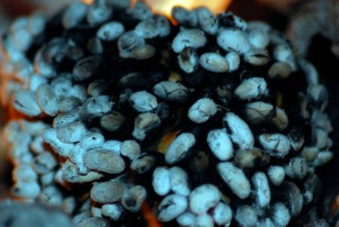 Mavi renk, ahenkle ilişkili, soğuk, sonsuzluk ve hüzün.