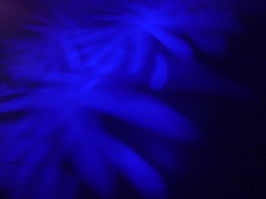 Mavi renk, ahenkle ilişkili, soğuk, sonsuzluk ve hüzün.