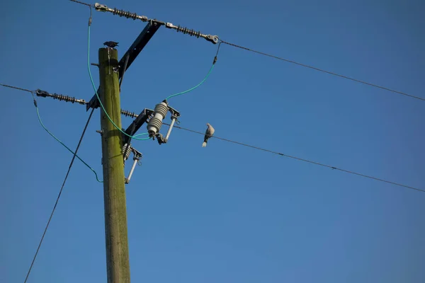 Alimentation Énergétique Avec Une Ligne Électrique Basse Tension Poteau Alimentation — Photo