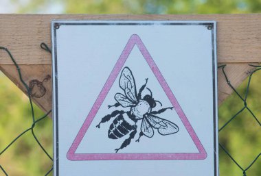 Batı bal arısının ya da Avrupa bal arısının sembolü (Apis mellifera)