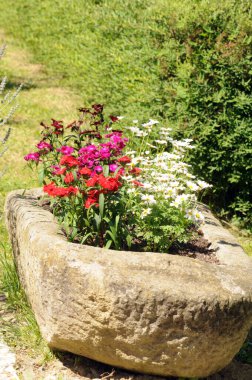Bahçecilik ve bahçe tasarımı, bitkilerle manzara planlaması.