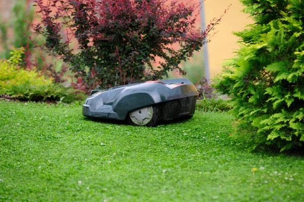 Een Grasmaairobot Die Het Gazon Maait Tuin — Stockfoto
