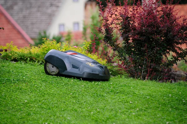 a lawn mowing robot mowing the lawn in the garden