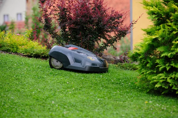 Ένα Ρομπότ Χλοοτάπητα Κουρεύει Γκαζόν Στον Κήπο — Φωτογραφία Αρχείου