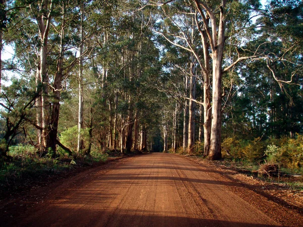 Calle Desierto Australiano Tráfico Por Carretera Interior — Foto de Stock