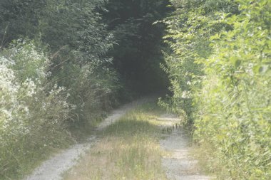 Taşrada asfaltsız yol veya toprak yol, trafik ve ulaşım