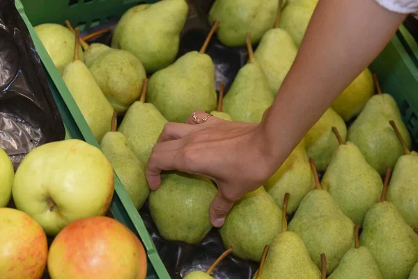 Pere Verdi Fresche Mature Frutticoltura Produzione Alimentare Agricoltura — Foto Stock