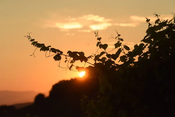 Avond Aan Horizon Zon Bij Zonsondergang Einde Van Dag — Stockfoto