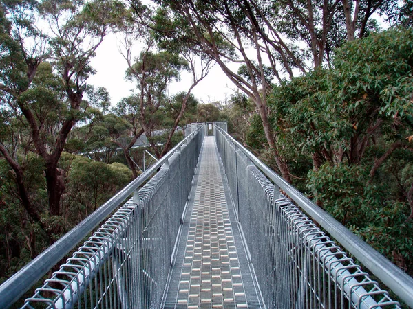 Puente Peatonal Construido Para Cruzar Obstáculos Naturales Pie —  Fotos de Stock