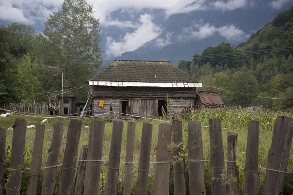 Landwirtschaft Und Landwirtschaft Rumänien Pflanzenbau Und Nahrungsmittelproduktion — Stockfoto